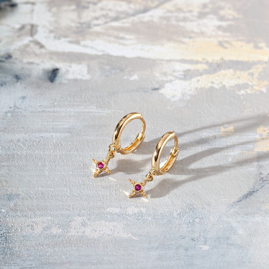 Timi Of Sweden Rebecca Star With Pink Crystal Hoop Earrings