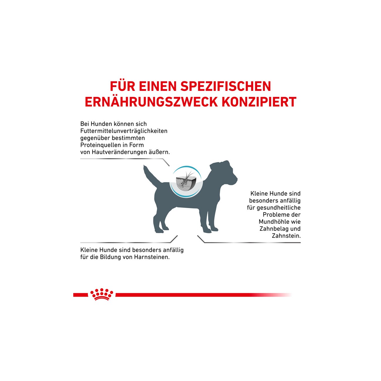 ROYAL CANIN Veterinary Hypoallergenic Small Dogs 1 kg