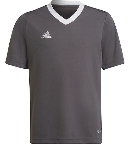 adidas Performance T-Shirt - ENT22 JSYY - Gr?/Hvid