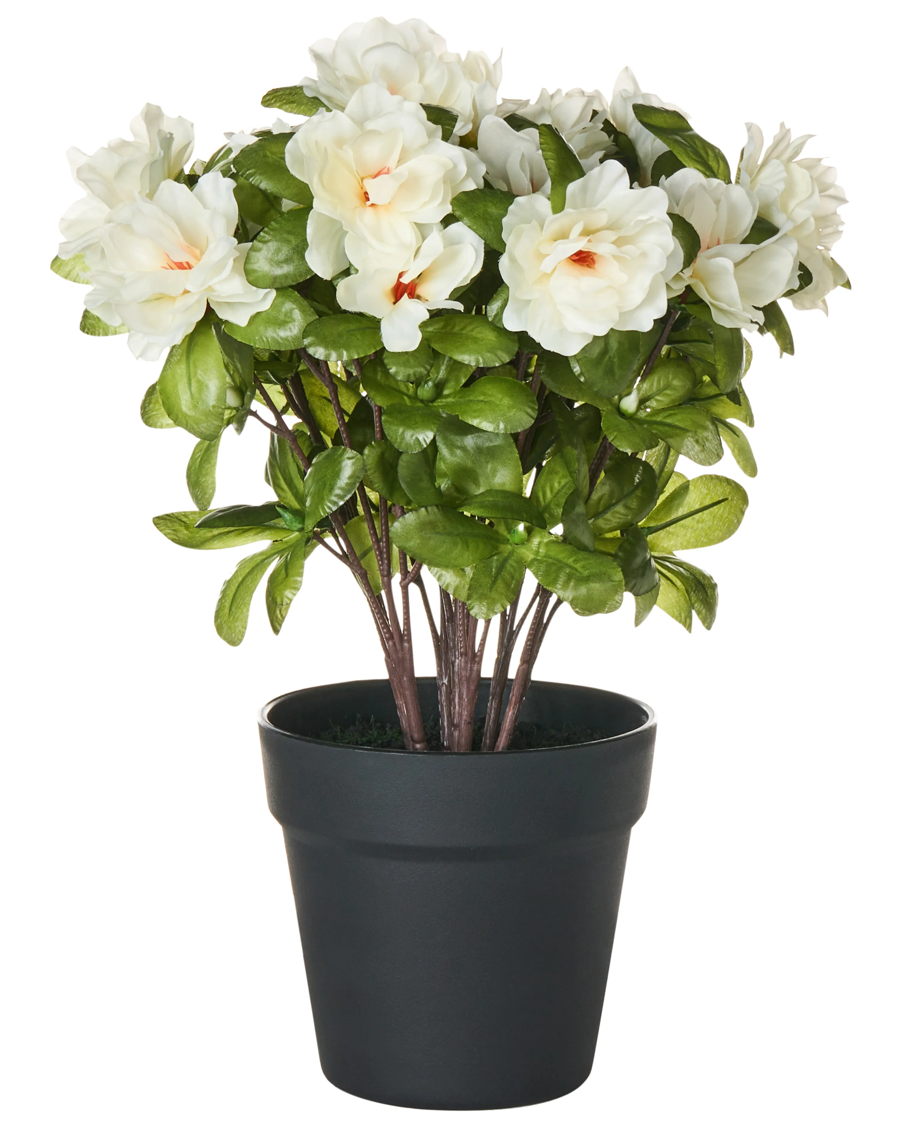 Kunstplant NOVELLA 36 cm Wit
