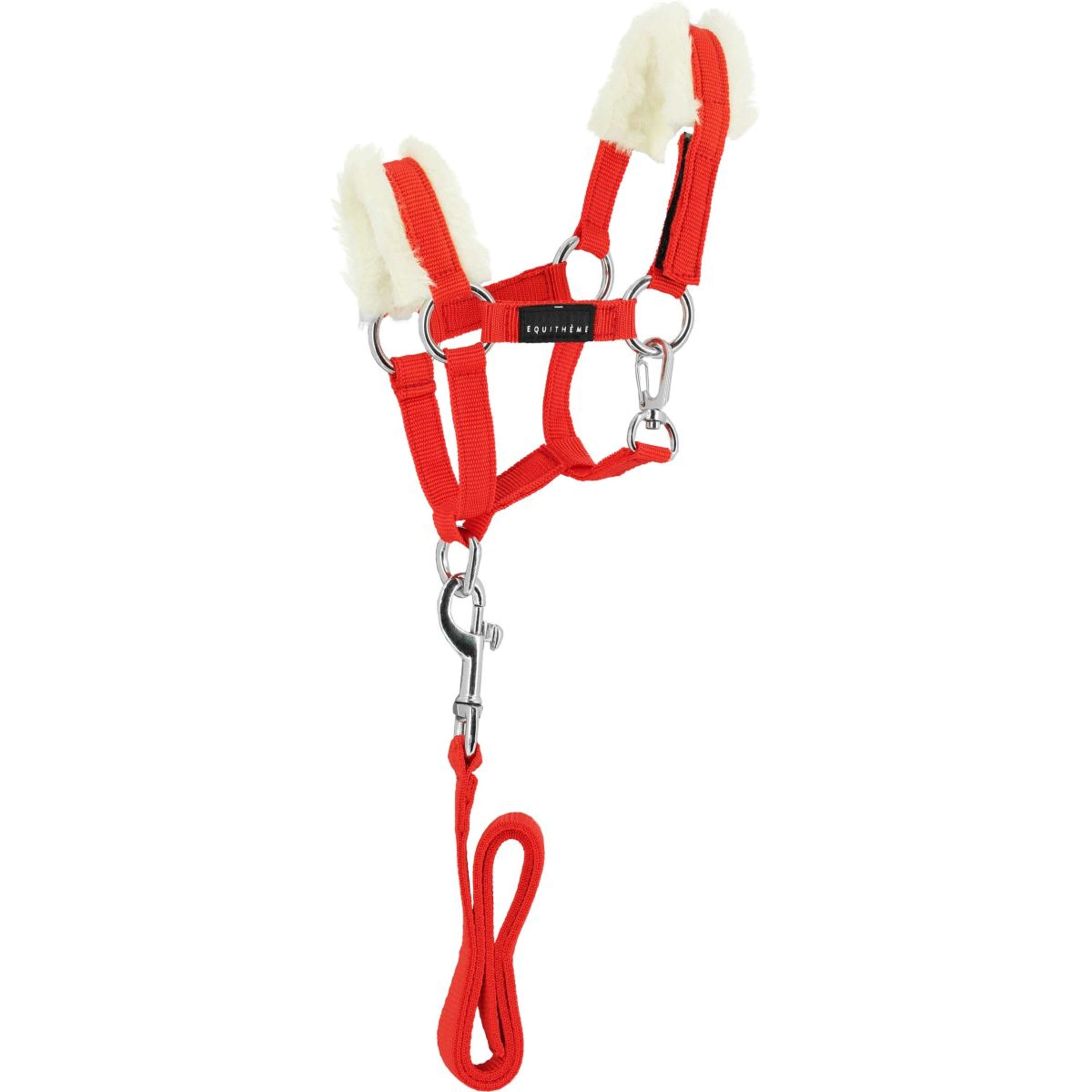 EQUITHÈME Halsterset Pony Academy Rood