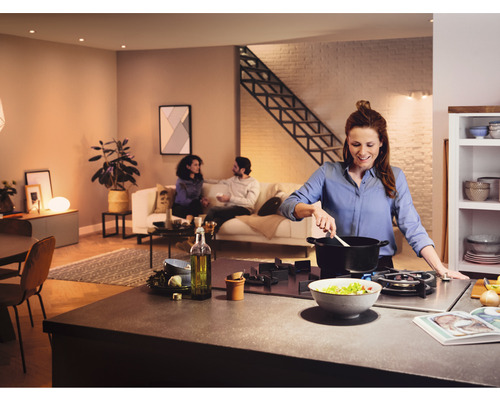 Philips Hue White Ambiance dimbare matte lampen, 2x A60 E27/8W (75W) 1100 lm 2200-6500 K, 2 stuks - Compatibel met SMART HOME van Hornbach