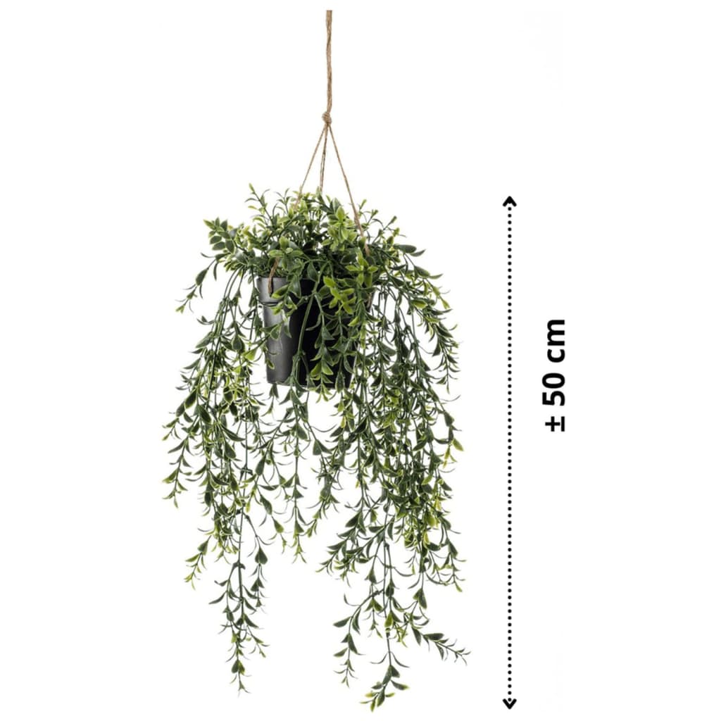 Emerald Kunstplant boxwood