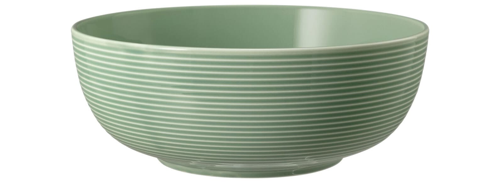 Seltmann Weiden Schale BEAT COLOR GLAZE 2er Set 20,4 cm salbeigrün