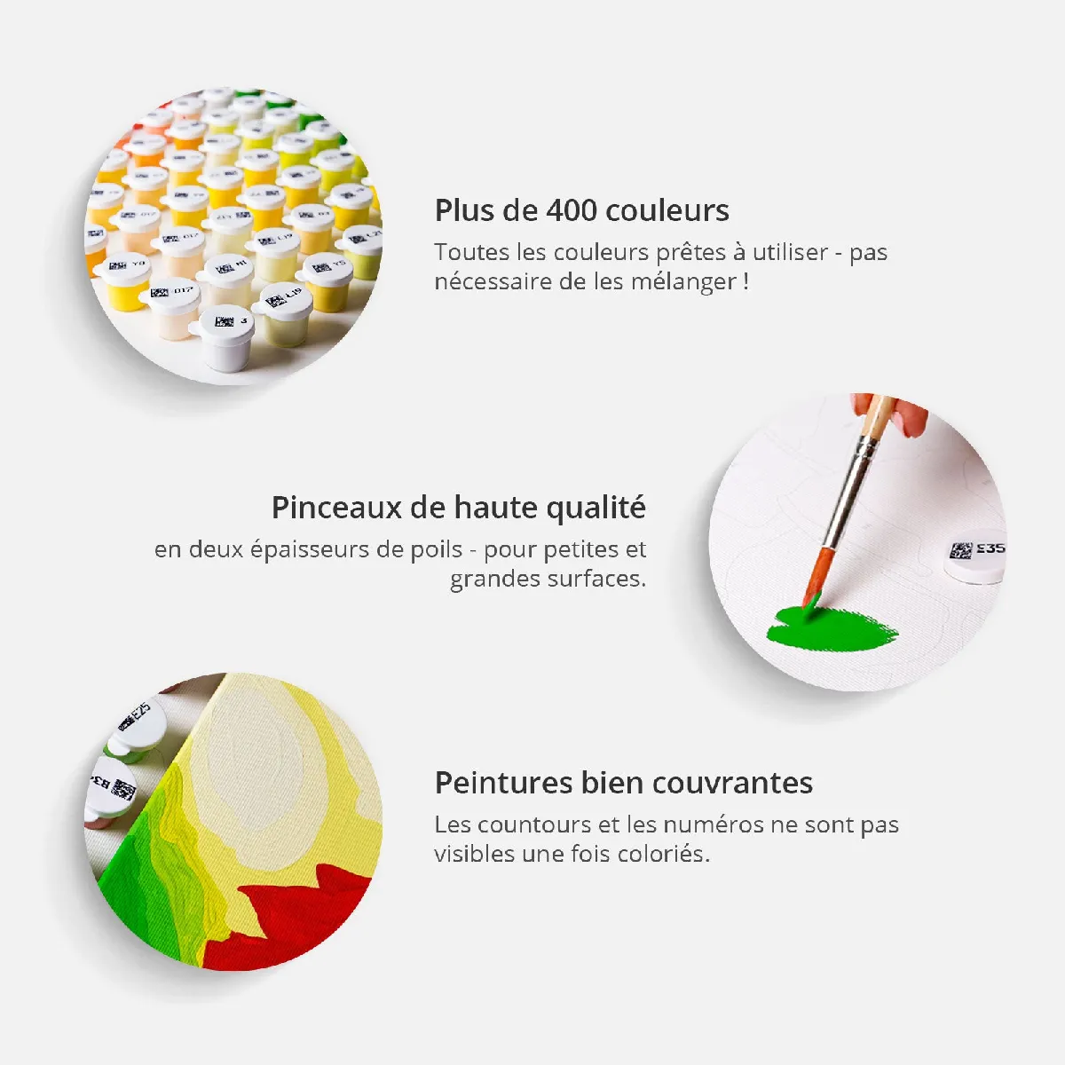Decoshop26 Perroquets Peinture par Numéros 40x60