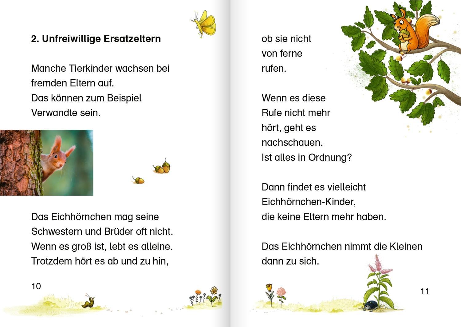 Tierkinder im Wald