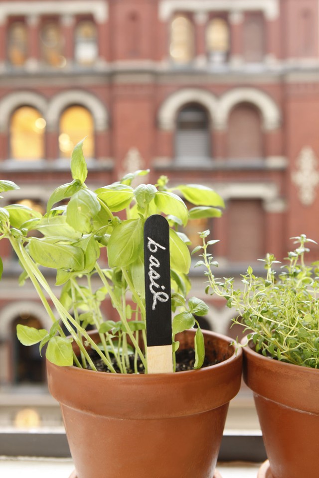 Reusable Garden Markers (GA06)
