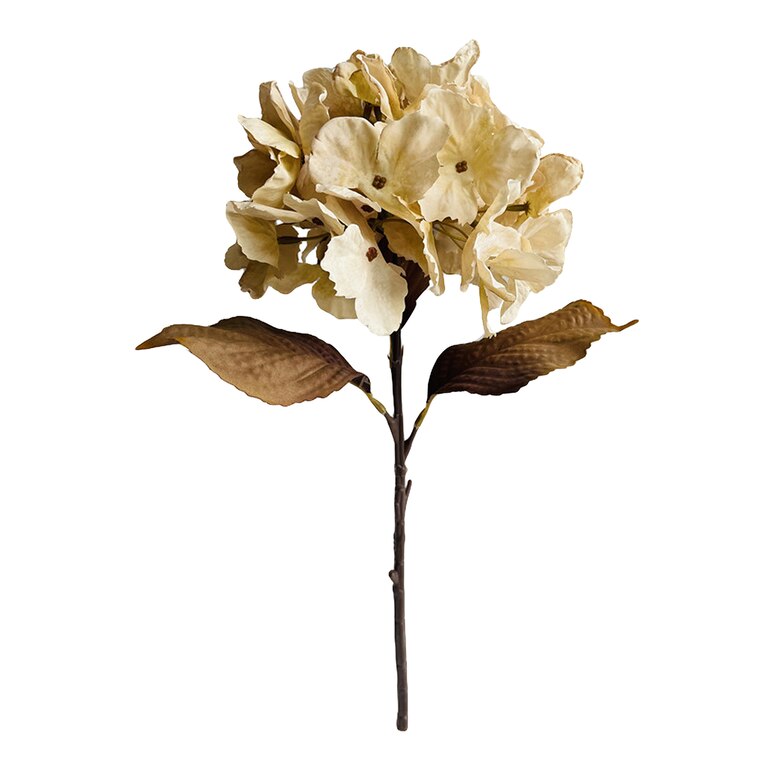 creme, L 48 cm