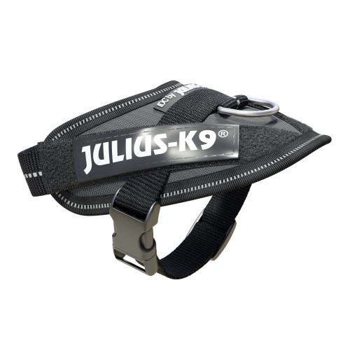 Coleira para cães Julius K9, cinza