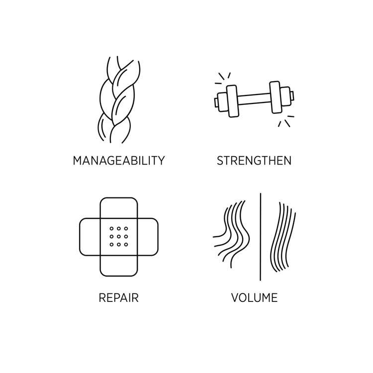 System Professional Alpha Energy 100ml