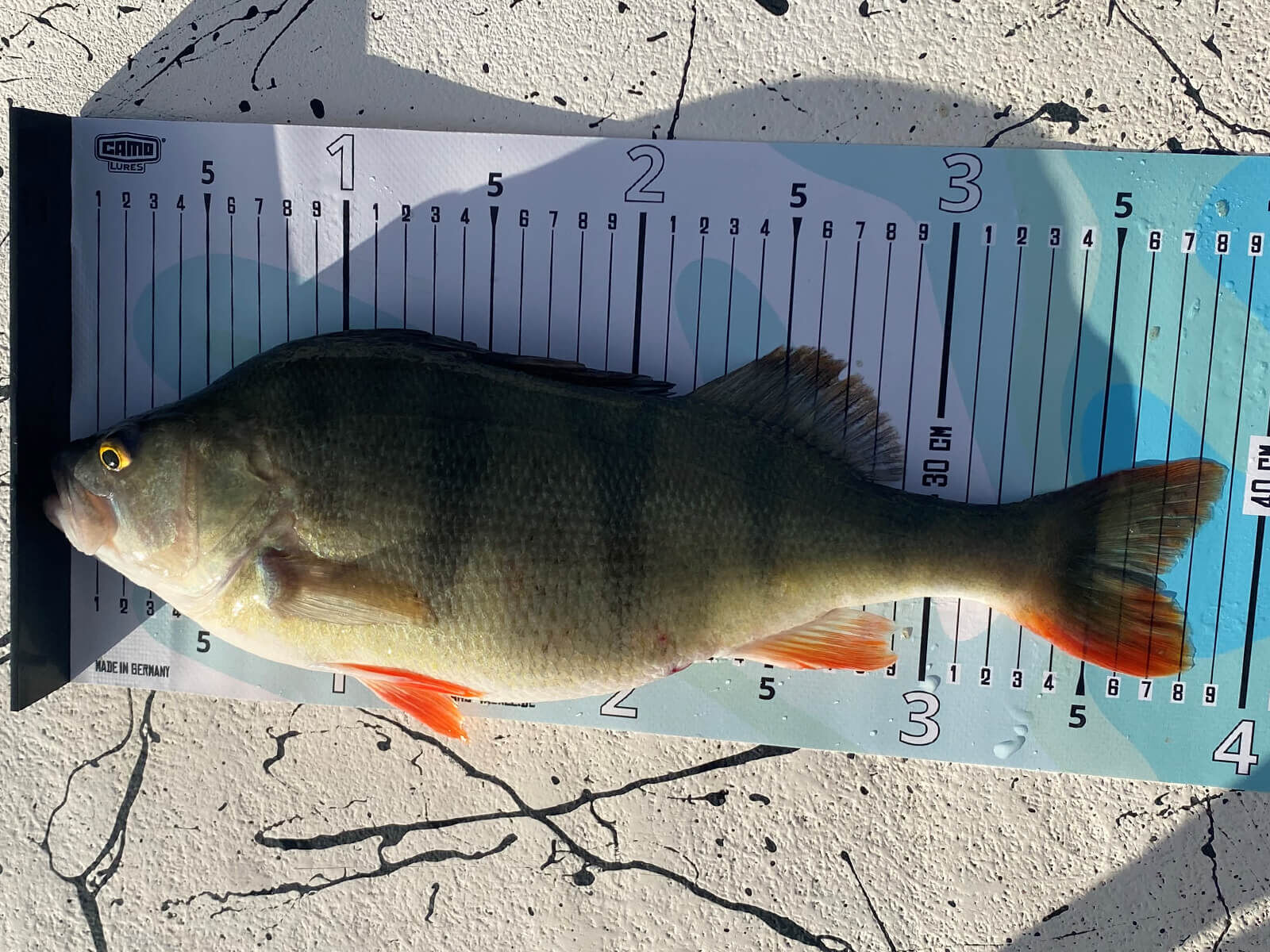 CAMO Lures Fisch-Maßband 65 cm x 20 cm mit Anschlag