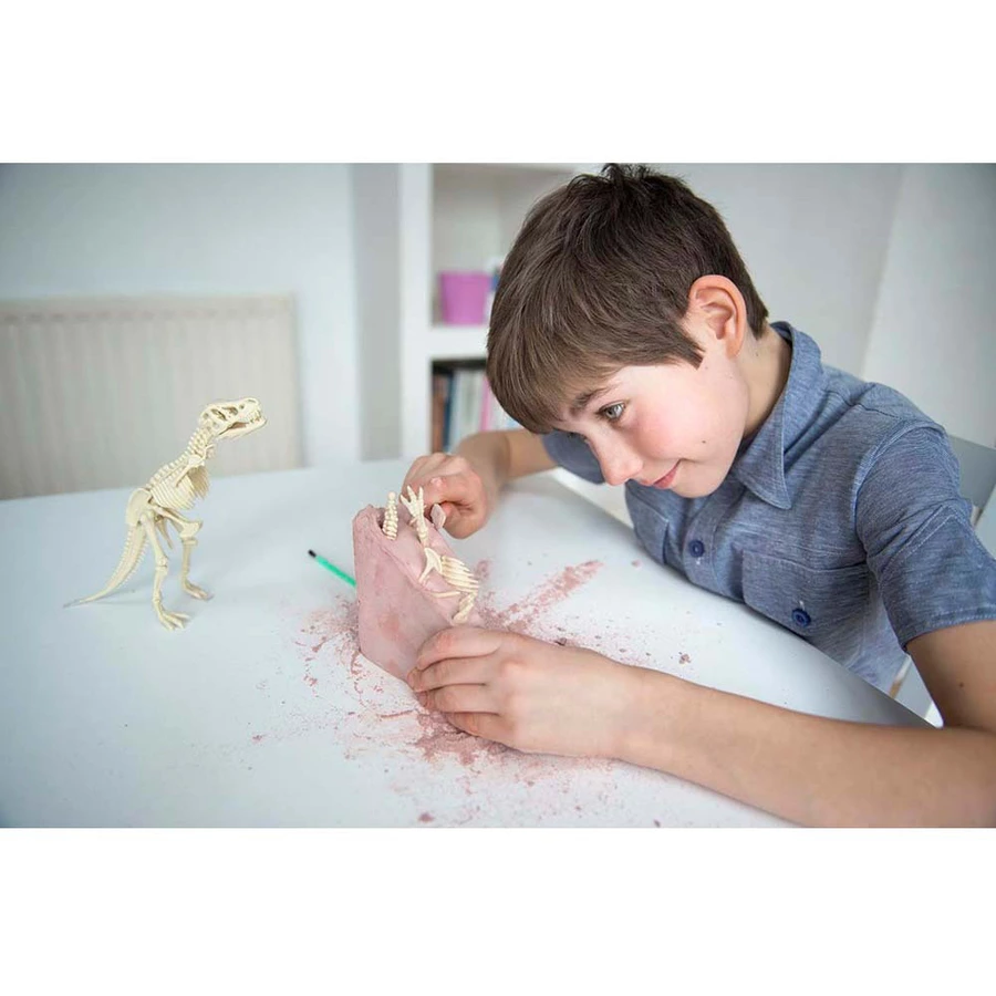 4M KidzLabs - Dinosaurier Ausgrabung T-Rex Mehrfarbig