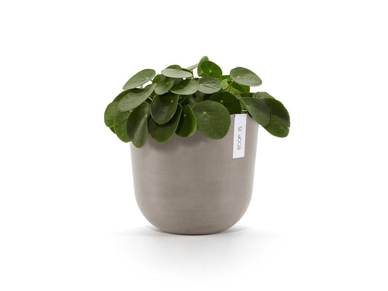 Ecopots Pflanzentopf Oslo 25, French Taupe Robuster und langlebiger Blumentopf