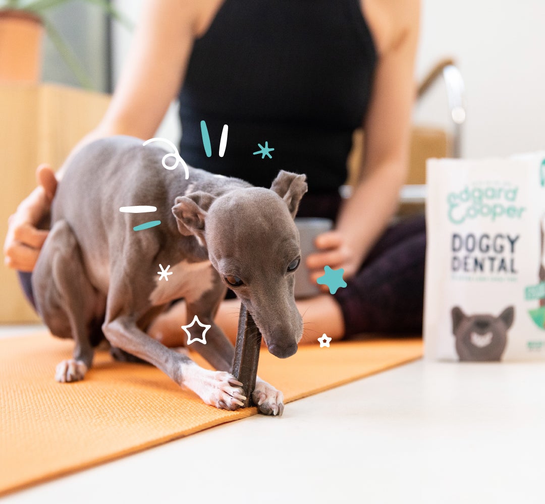 Edgard & Cooper kauwsticks Doggy Dental muntolie en aardbei S 7 stuks
