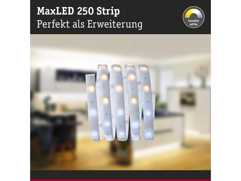 Paulmann LED-Stripe MaxLED 250 Tunable White, 1 m Verlänger Beschichteter LED-Streifen mit variabler Farbtemperatur, kürzbar