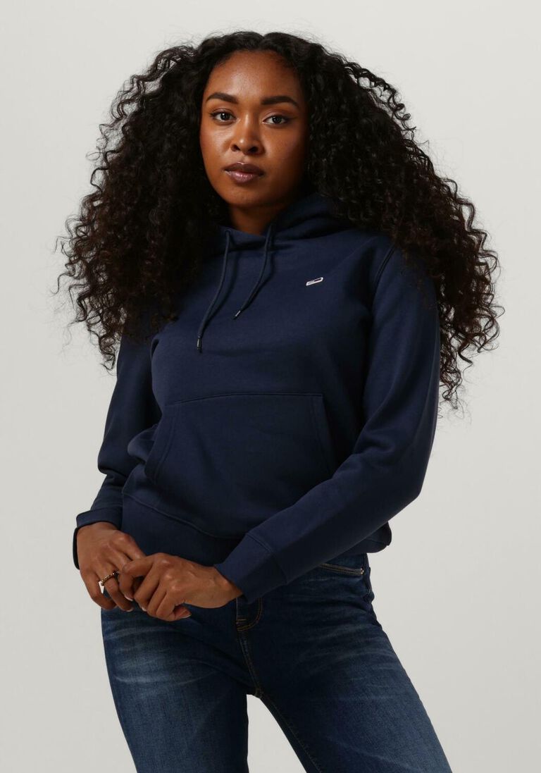 TOMMY JEANS blauwe tommy jeans sweater tjw regular fleece hoodie