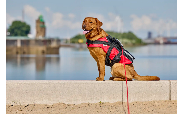 Wolters watchout Schwimmleine für Hunde