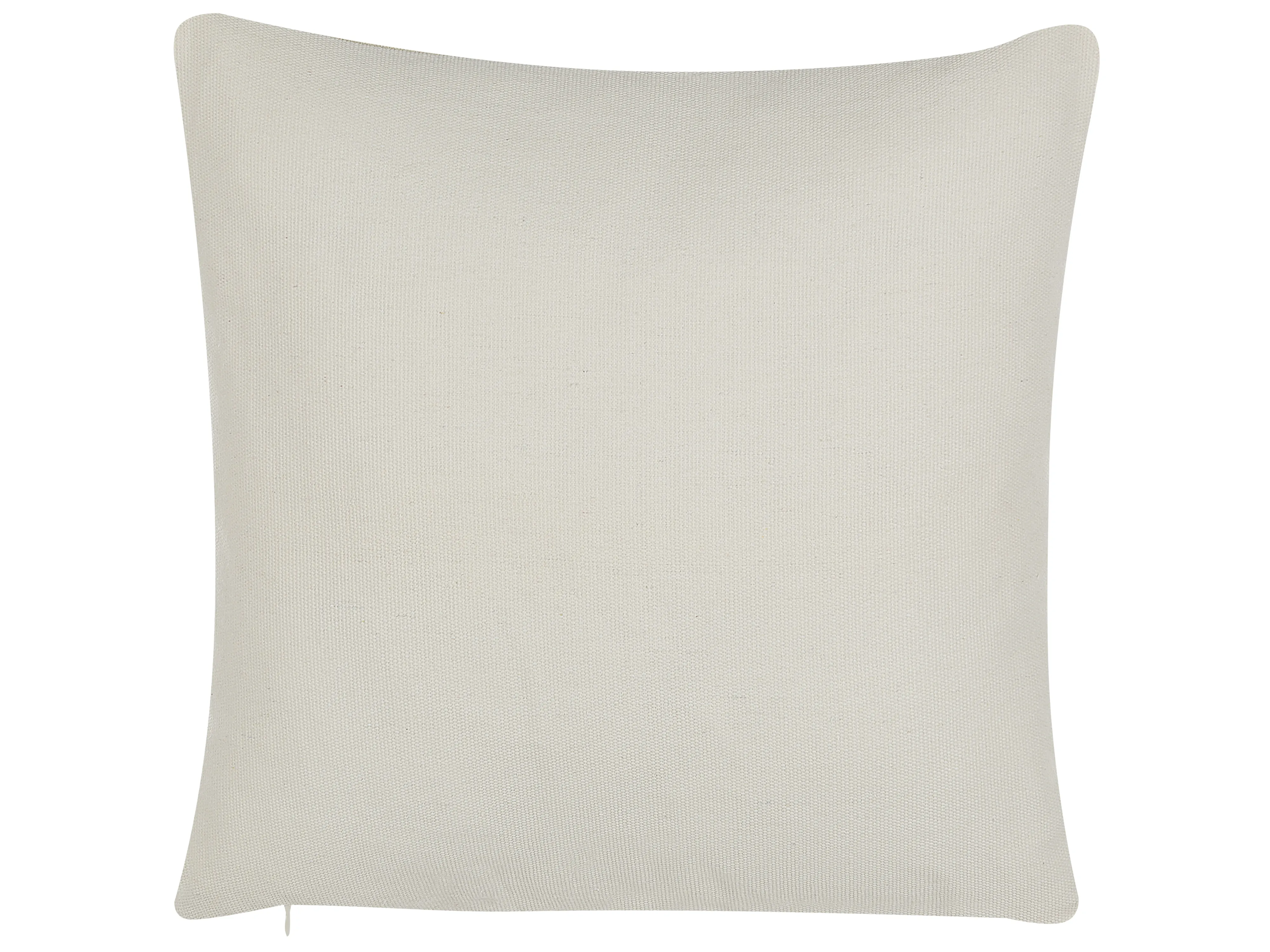 Set van 2 sierkussens CALLIOPSIS 45 x 45 cm Wit abstract patroon