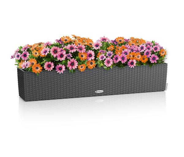 LECHUZA® Kunststoff-Kasten Balconera Cottage,