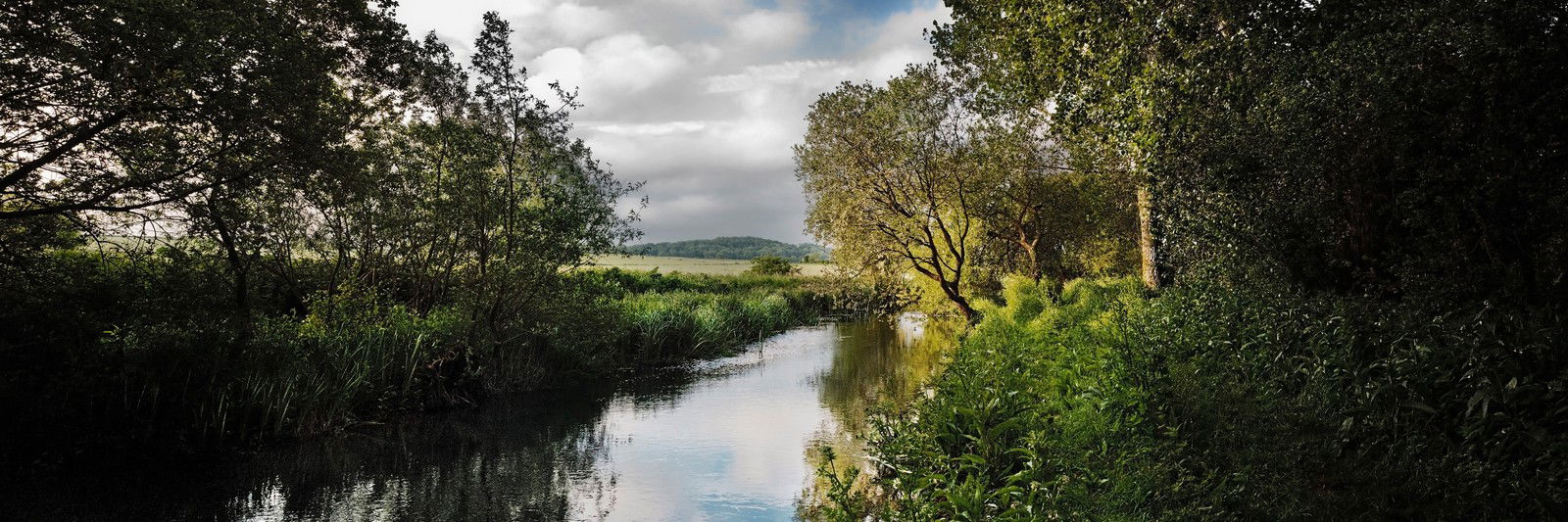 River Allen St Giles Estate by Justin Barton - Limited Edition. Edition of: 150. Signed.