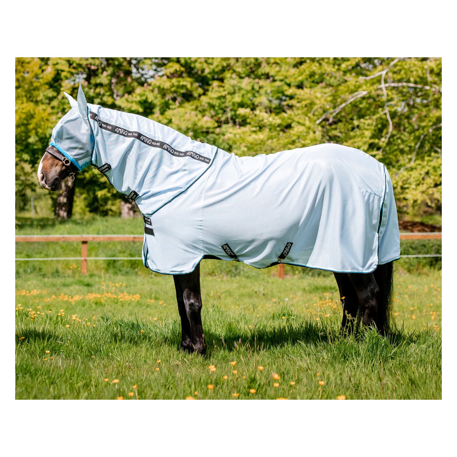 HORSEWARE Fliegendecke AMIGO Bug Rug  - azurblue/black/white