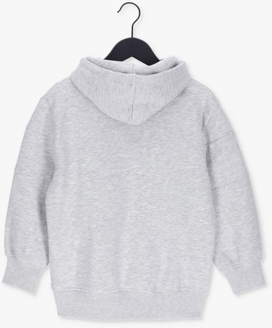 RAIZZED grijze raizzed sweater newark