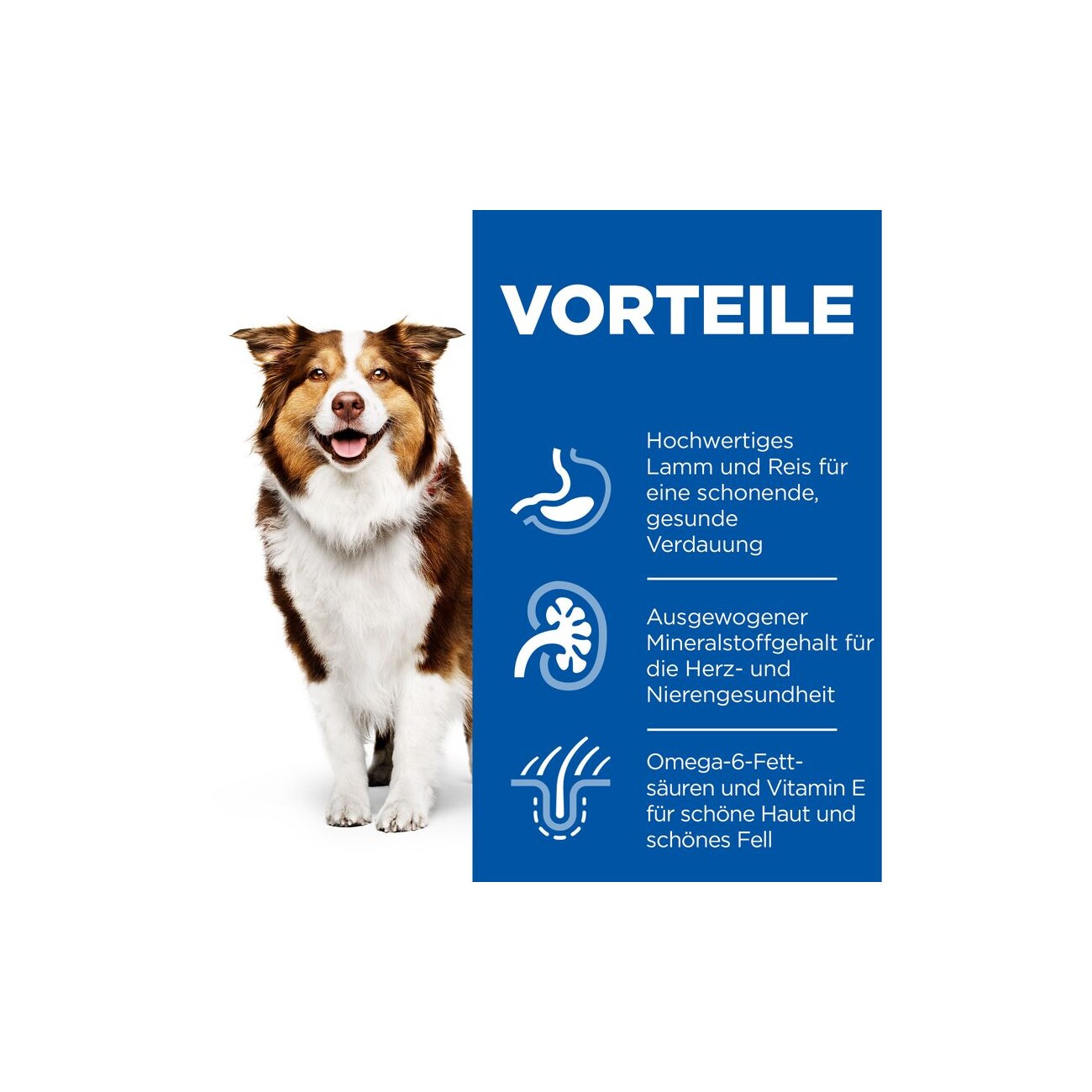 Hill's Science Plan Mature Adult 7+ Lamm und Reis 14 kg