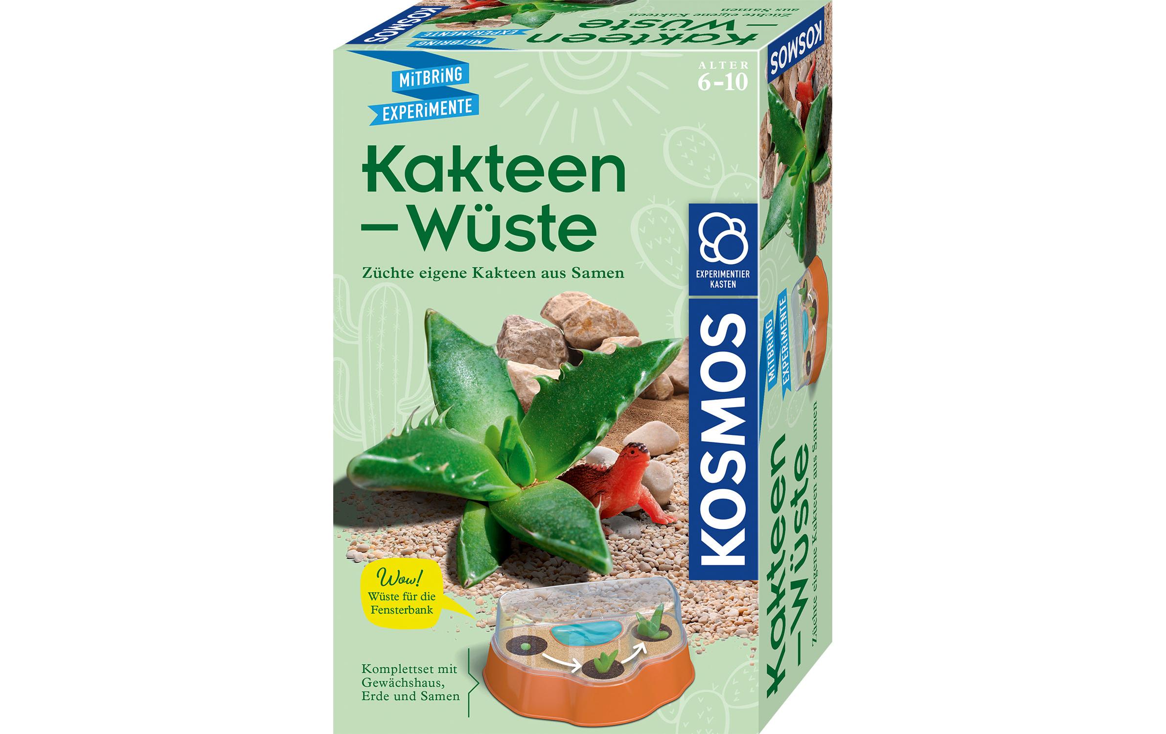 Experimentierkasten Kakteen-WüsteKomplettset mit Gewächshaus, Erde und Samen