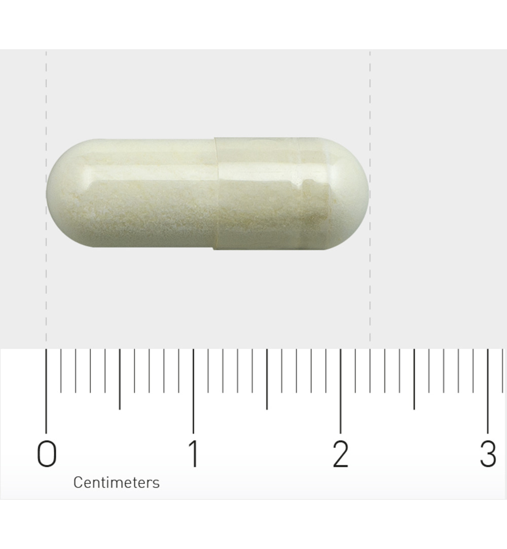Orthica Alfa Liponzuur (60 capsules)