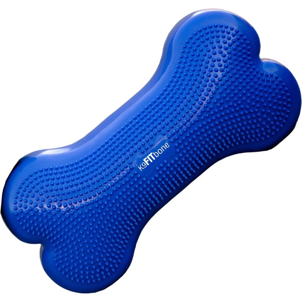 Plate-forme d'équilibre pour animaux k9fitbone pvc bleu ciel