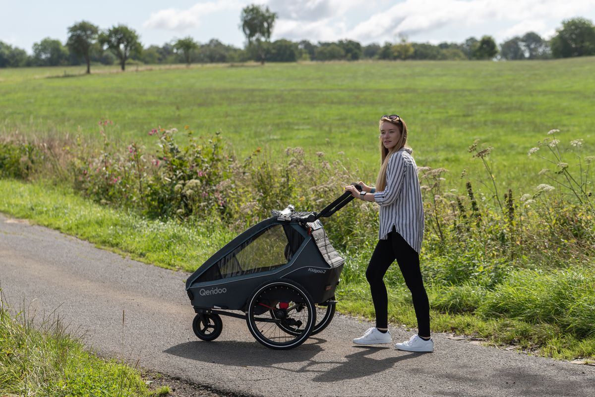 Qeridoo Fahrradanhänger Kidgoo 2 Navy Blue