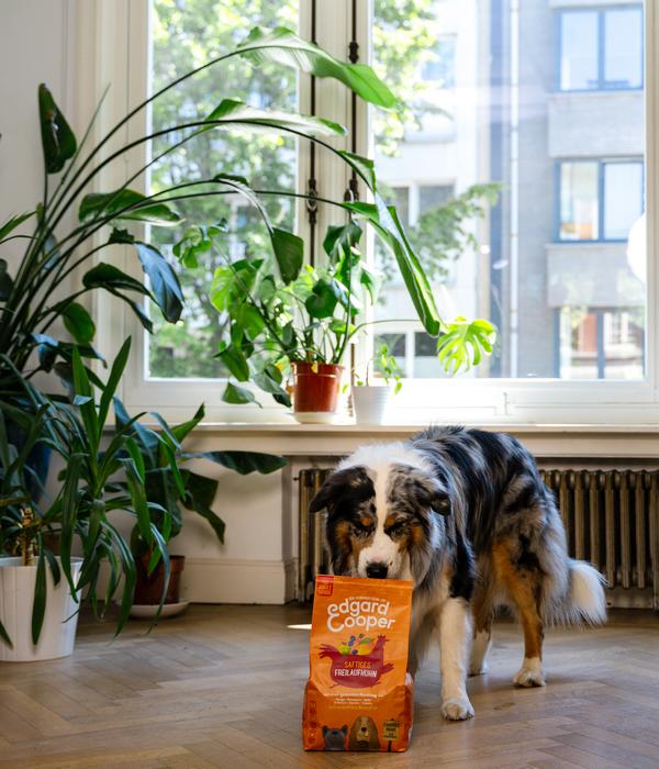 Edgard & Cooper Trockenfutter für Hunde,