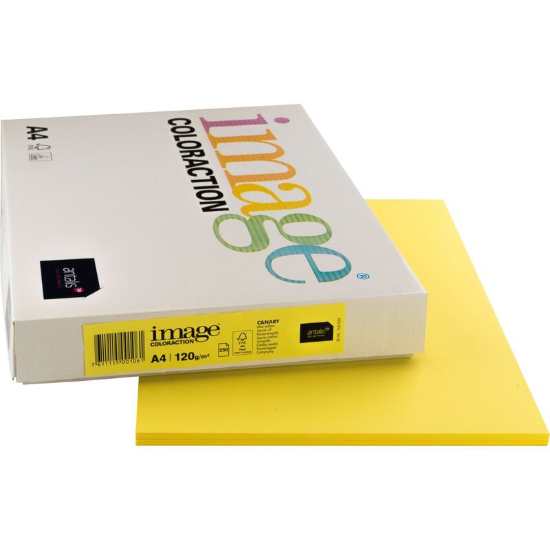 Image Coloraction Papier farbig, A4, 120 g/m², canary gelb