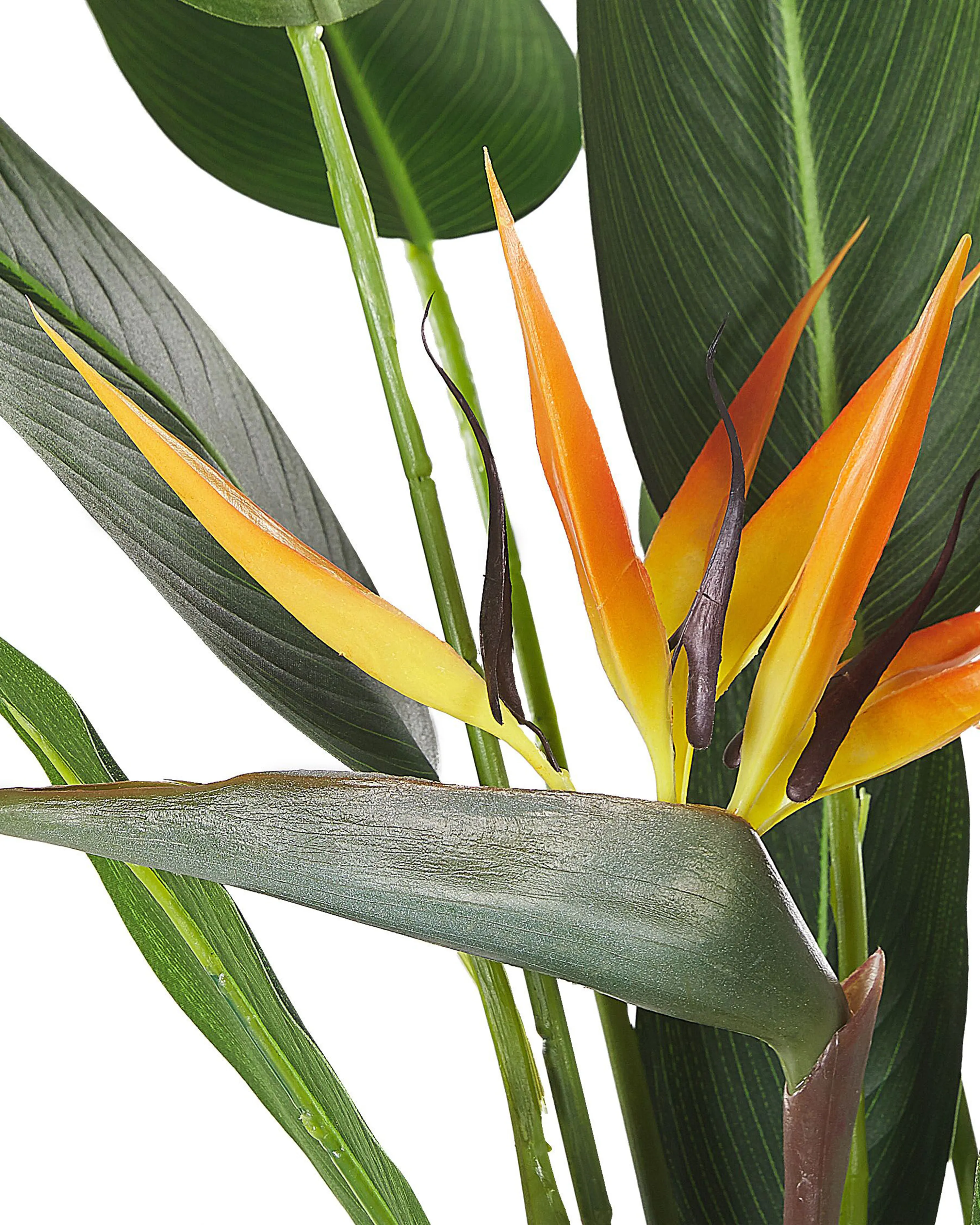 Kunstplant STRELITZIA TREE 115 cm Groen
