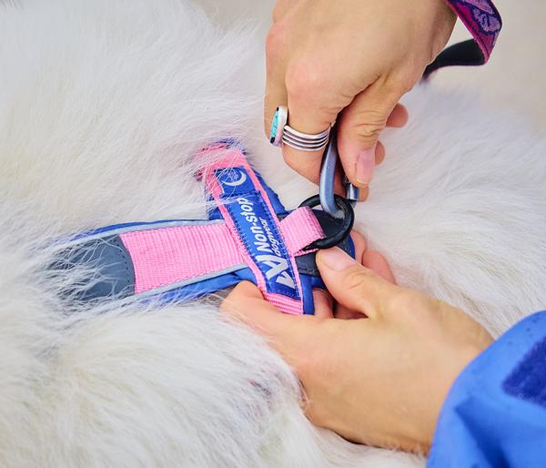 Non-stop dogwear Hundegeschirr Line Harness