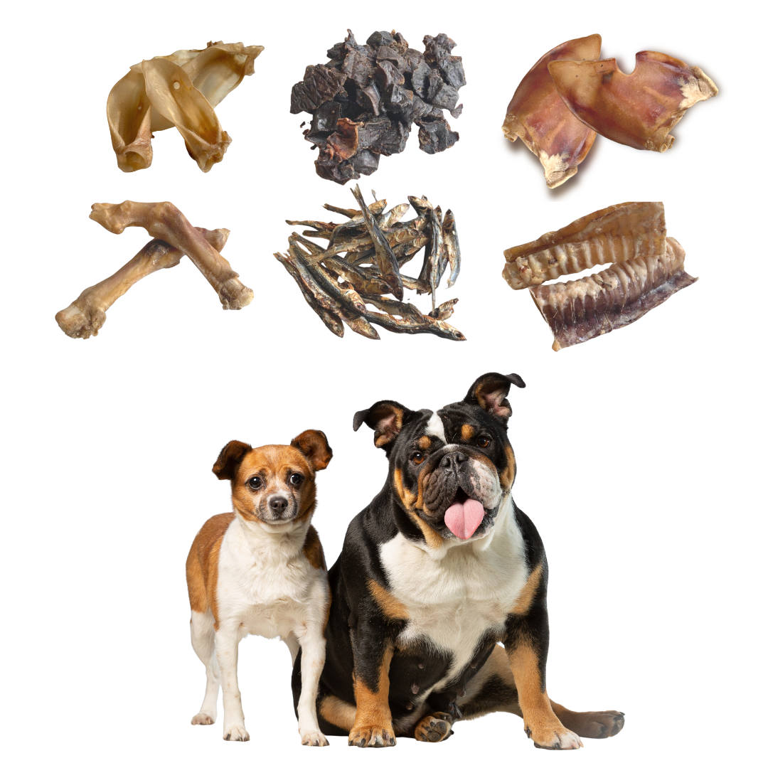 GLE PETS Caixa de Petiscos Naturais, Presentes para Cães, Petiscos Saudáveis, 6 Pacotes Sortidos, Mastigáveis Naturais, Caixa Azul