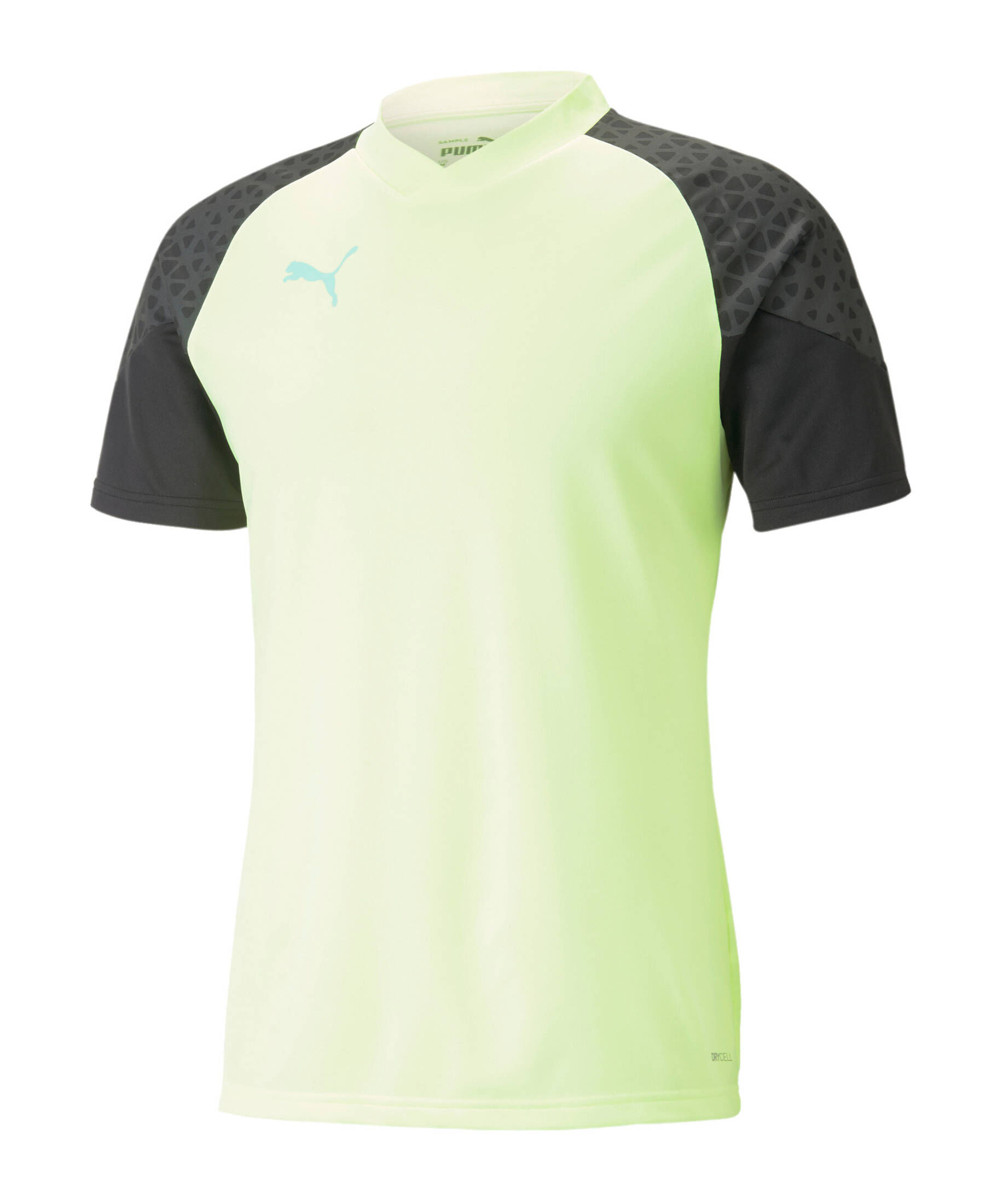 Puma| Herren Fußball - Textilien - T-Shirts individualCUP Trainingsshirt