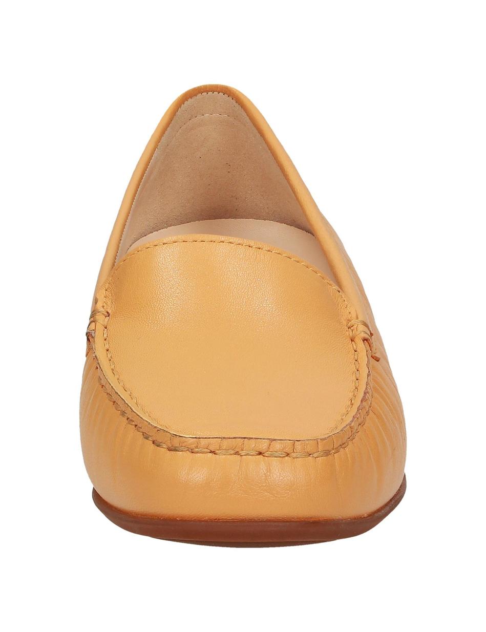 Slipper Zalla