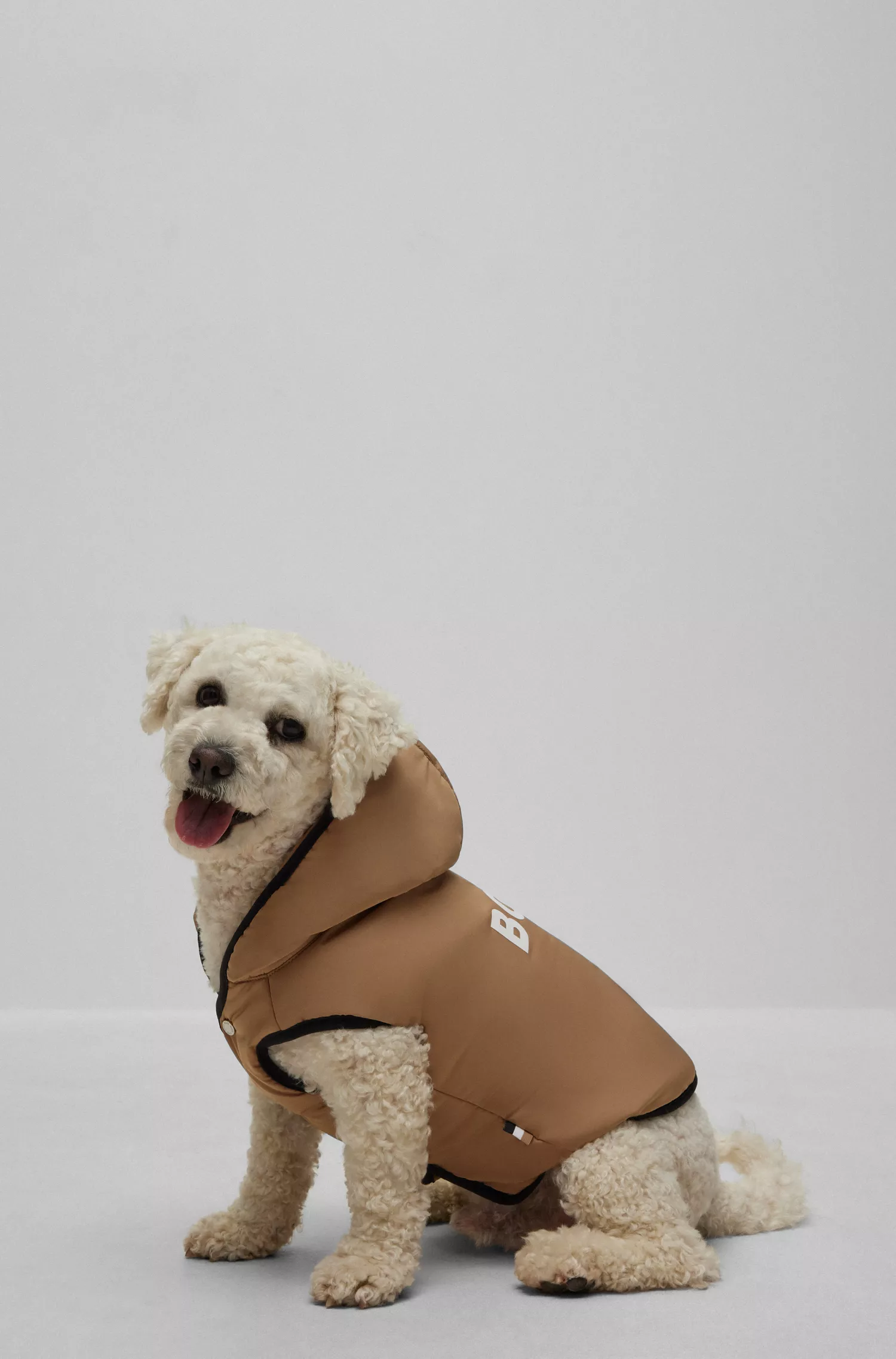 Jaqueta leve BOSS Black-Dog com detalhes do logotipo.