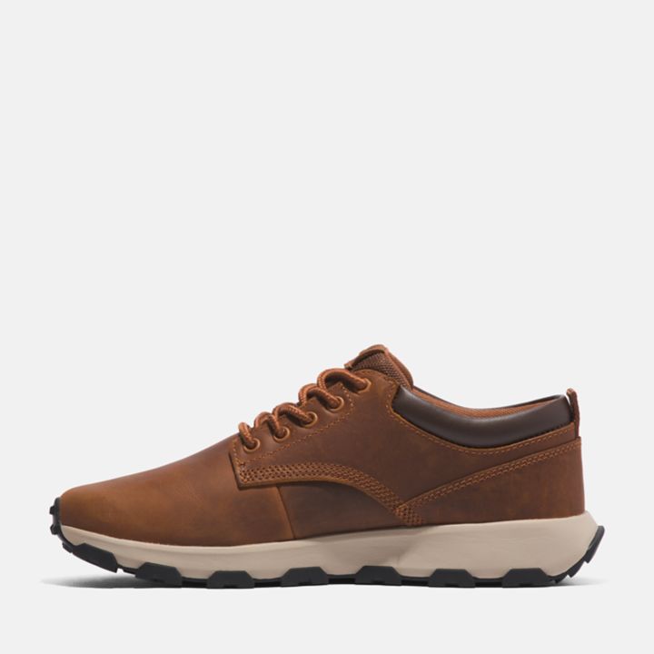 Tênis GreenStride Winsor Park para homens na cor marrom