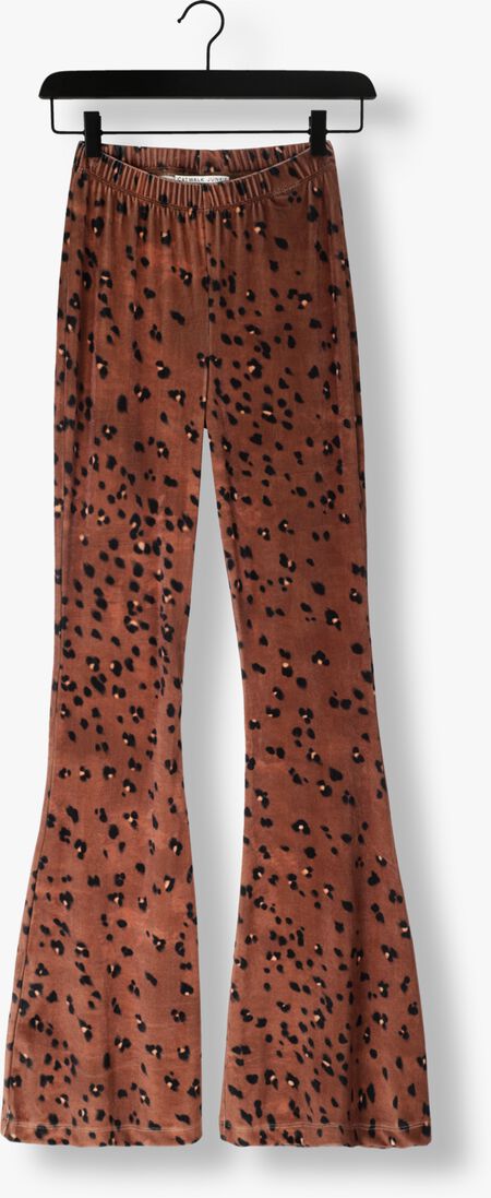 CATWALK JUNKIE bruine catwalk junkie flared broek tr megan