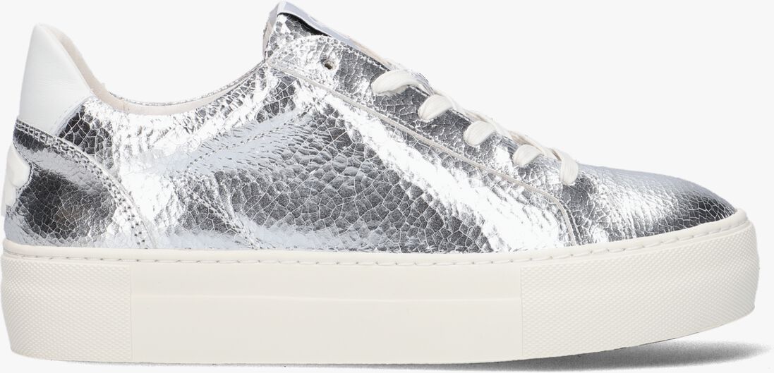 FLORIS VAN BOMMEL zilveren floris van bommel lage sneakers sfw-10059