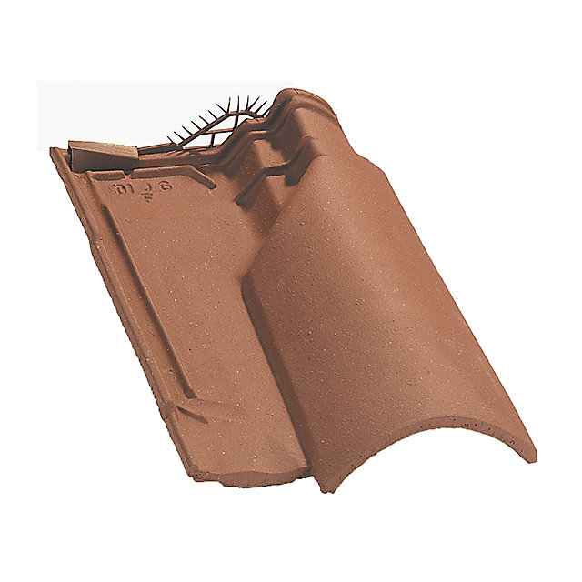Châtière Oméga 10 mistral et vieux toit