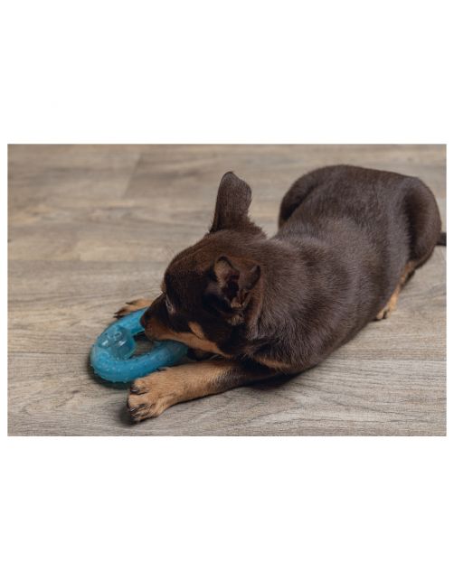 Beeztees Puppy Koel Bijtring - Hondenspeelgoed - 10 cm Groen
