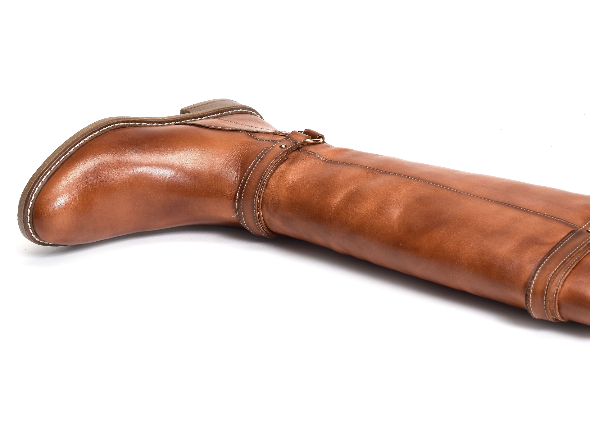 Aldaya 9562 camel