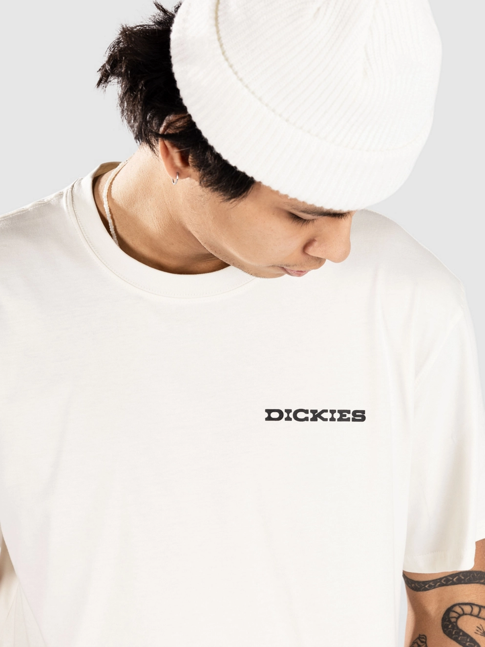 Dickies Landascape T-Shirt egret