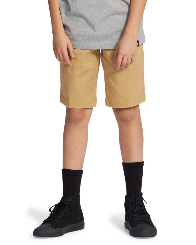 DC Shoes Chinoshorts »Worker Relaxed«
