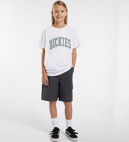 Dickies T-Shirt - Aitkin - Weiß