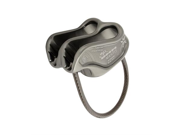 DMM Mantis