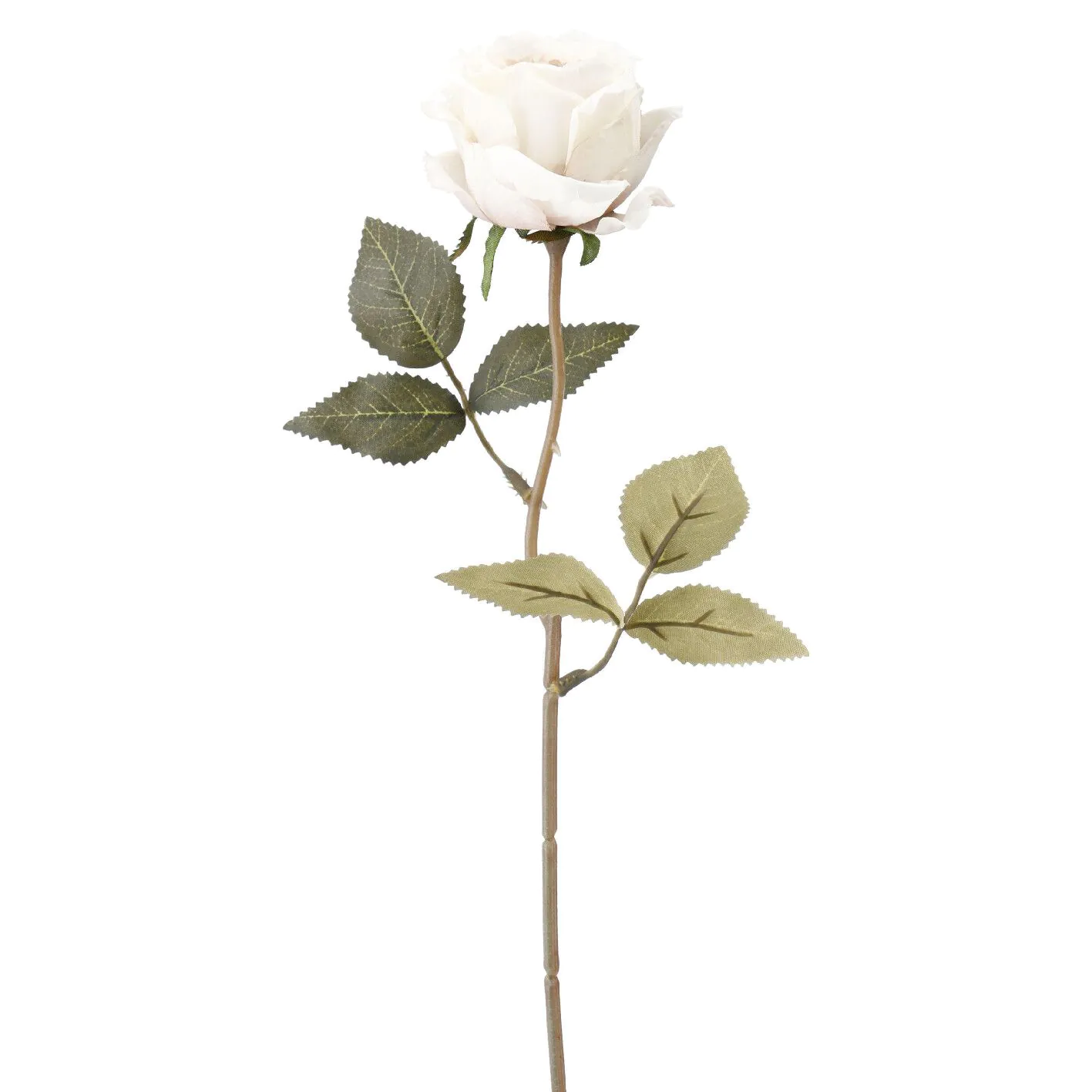 Rose Leonore, creme, 38 cm